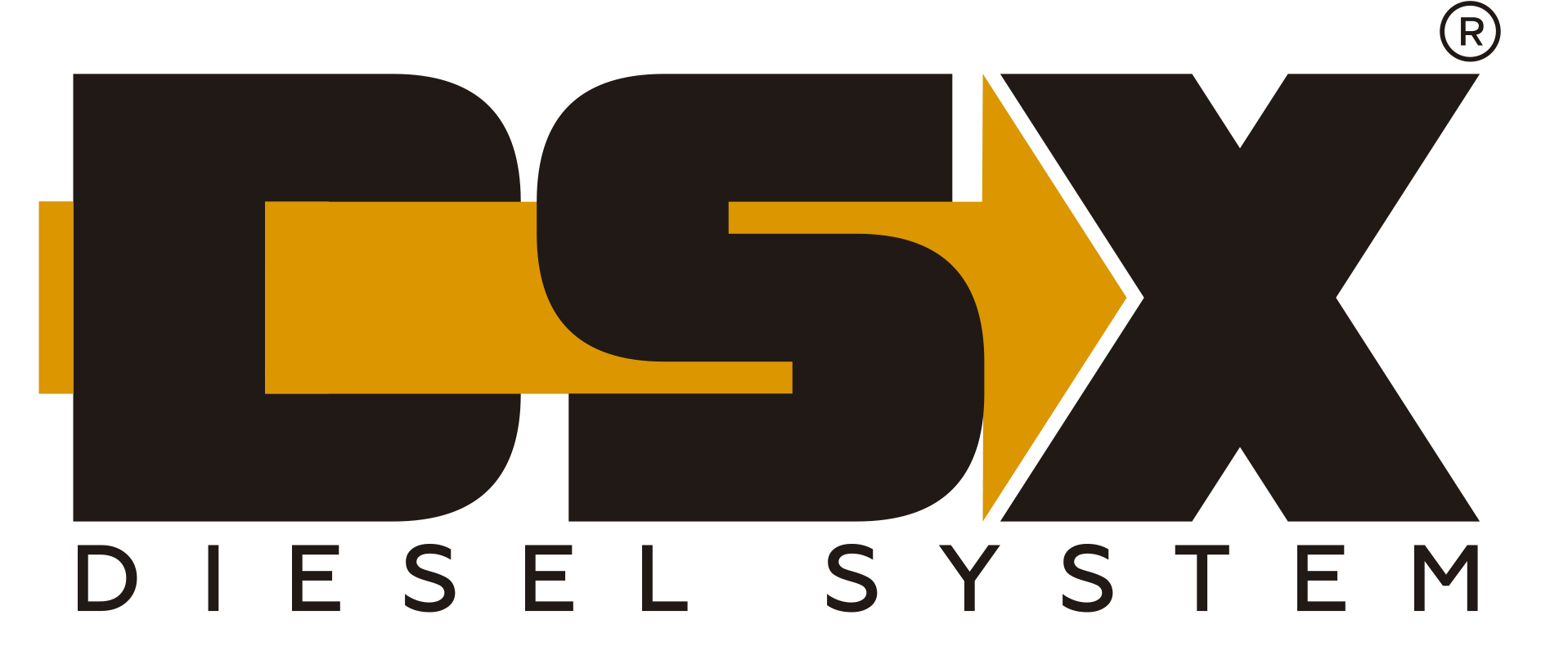 logotipo-dsx.png